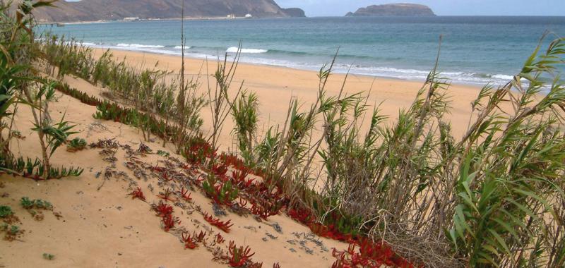 Porto Santo